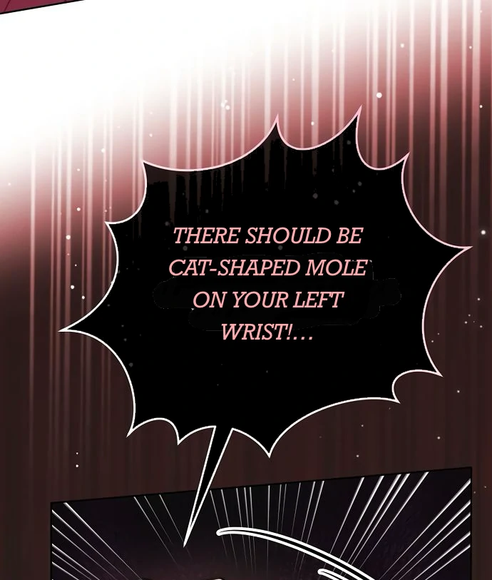 To My Husband’s Mistress chapter 73 page 67