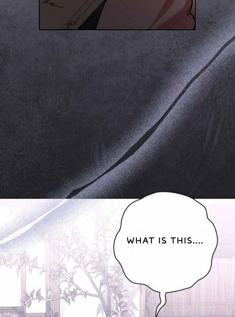To My Husband’s Mistress chapter 80 page 74