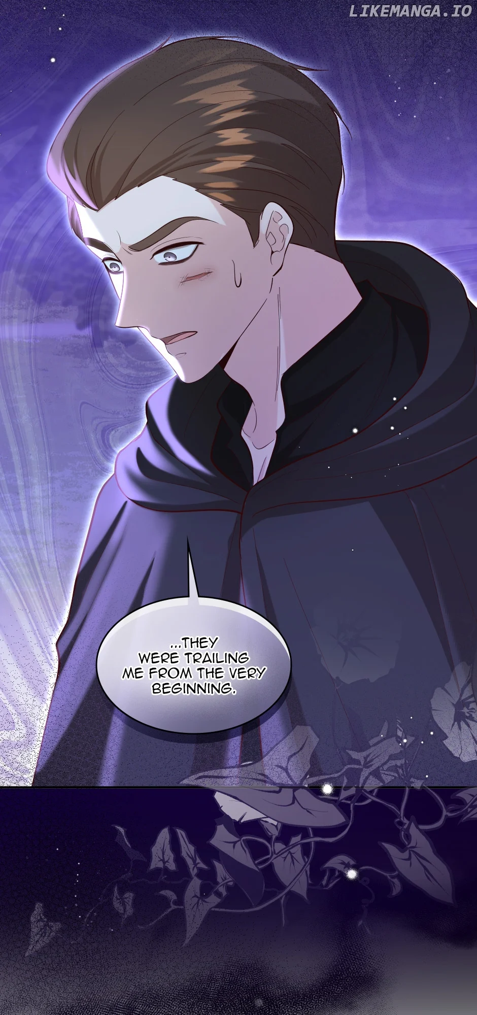 The Prince’s Personal Physician chapter 94 page 30