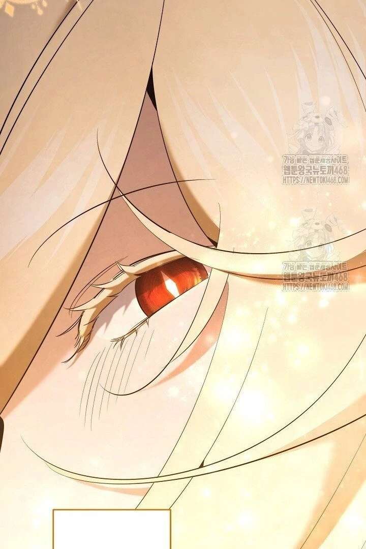 I Need to Raise My Sister Properly chapter 117 page 13