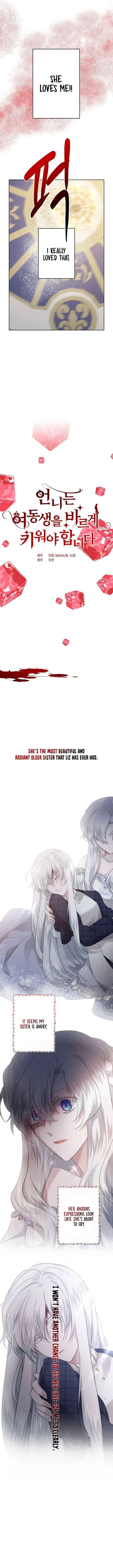 I Need to Raise My Sister Properly chapter 26 page 5