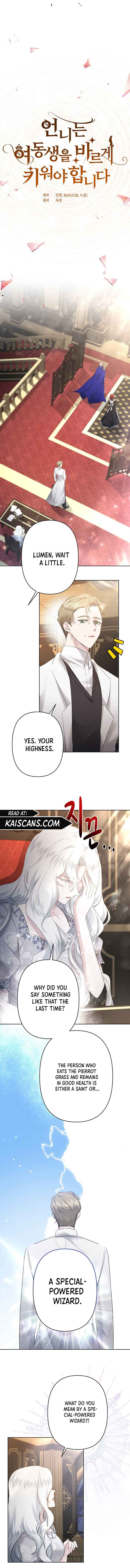 I Need to Raise My Sister Properly chapter 27 page 5