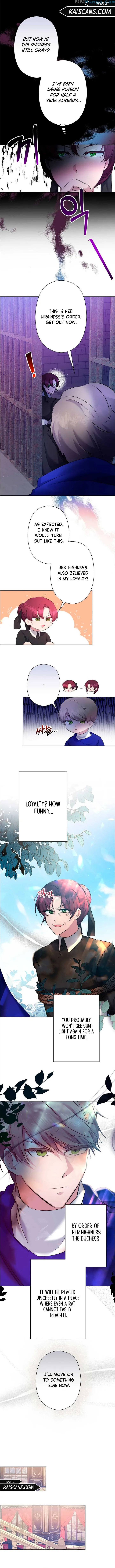 I Need to Raise My Sister Properly chapter 5 page 9