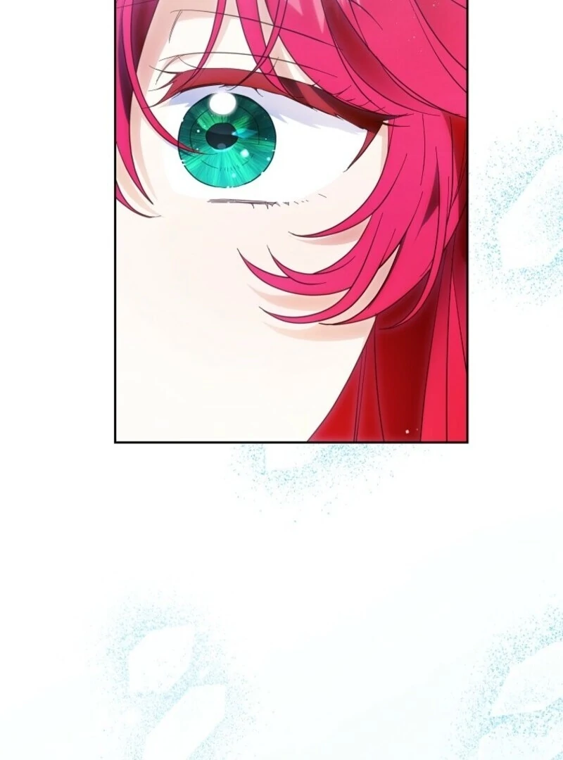 I Thought You Were A Time-Limited Husband chapter 63 page 3