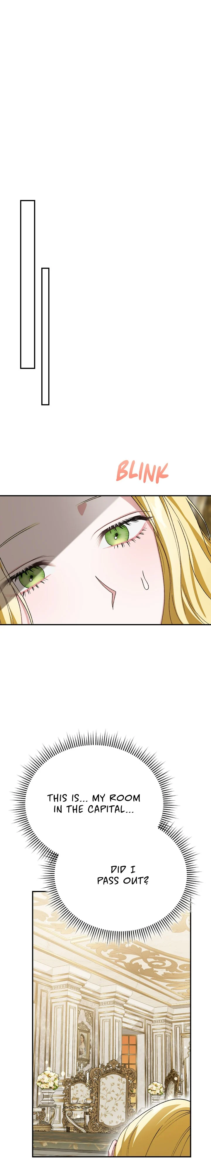 The Mistress Runs Away chapter 30 page 27