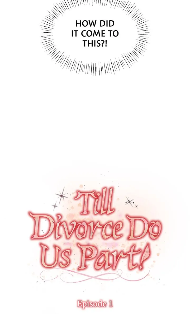 Till Divorce Do Us Part! chapter 1 page 25