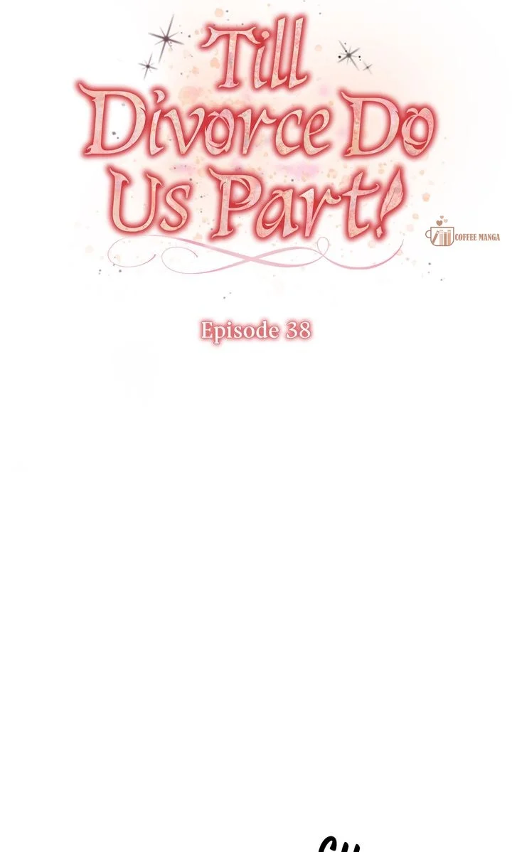 Till Divorce Do Us Part! chapter 38 page 14