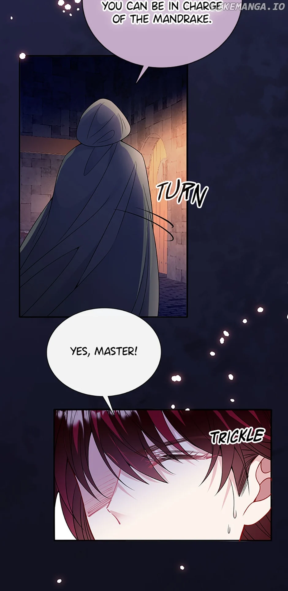 The Adopted Daughter Saves the World chapter 53 page 14