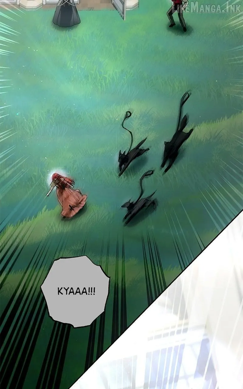 Men of The Harem chapter 208 page 54