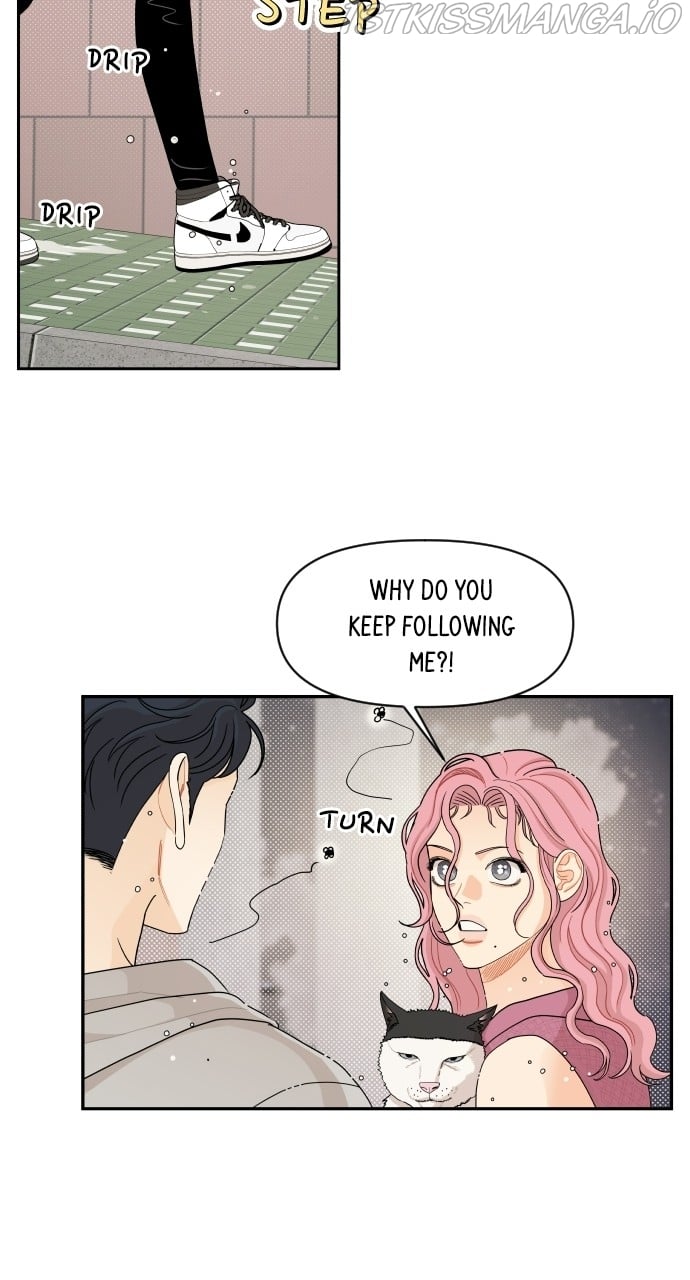 A Whirlwind Campus Affair chapter 32 page 15