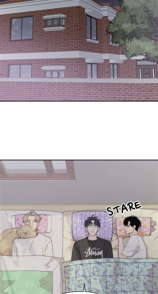 A Whirlwind Campus Affair chapter 51 page 45