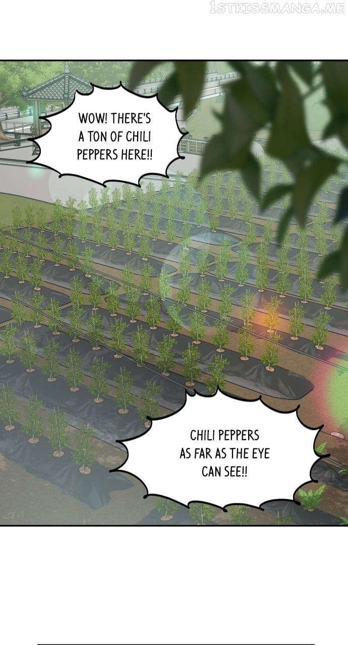 A Whirlwind Campus Affair chapter 52 page 1
