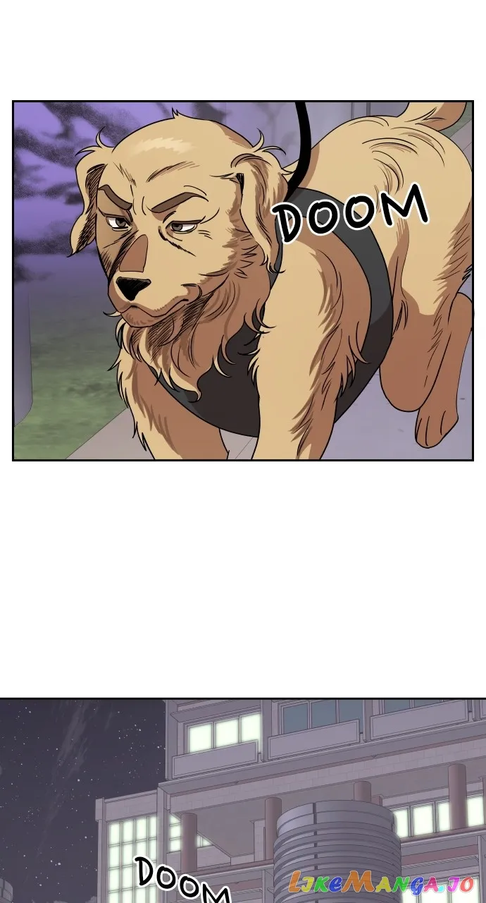 A Whirlwind Campus Affair chapter 66 page 23