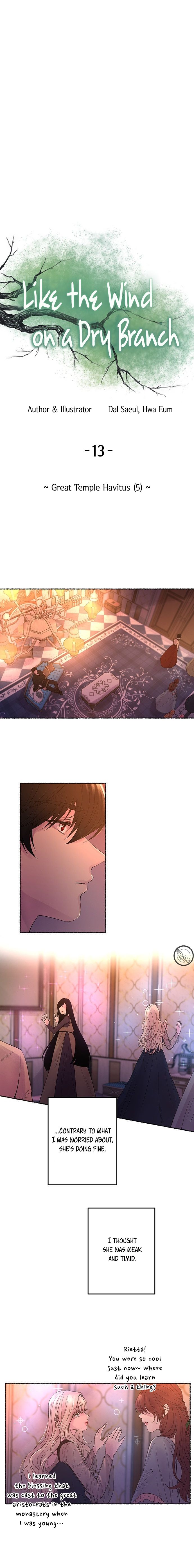 Like A Wind On A Dry Branch chapter 13 page 7