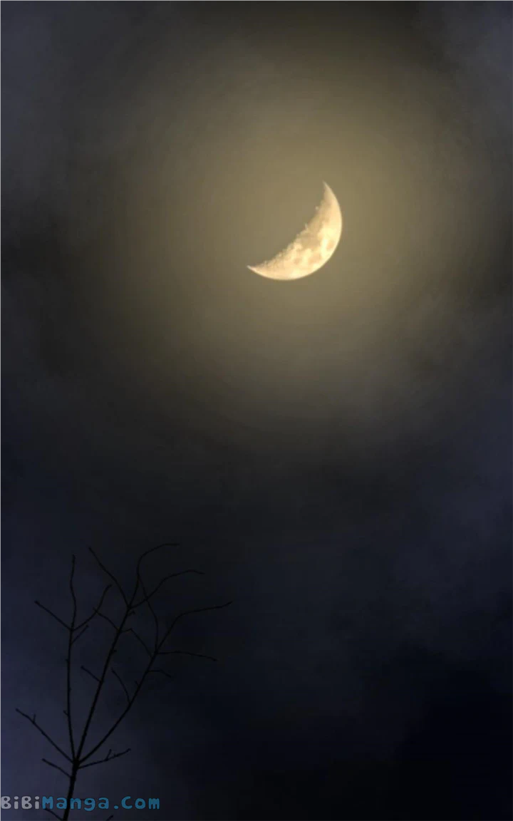 Like A Wind On A Dry Branch chapter 157 page 85