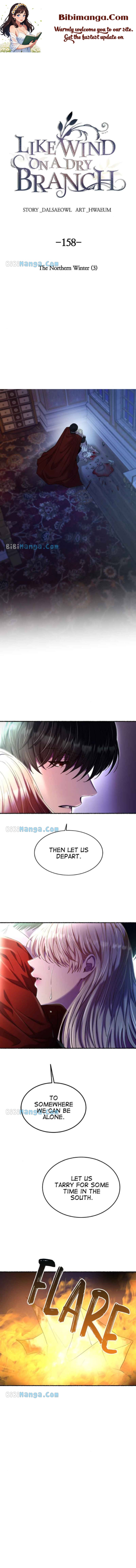 Like A Wind On A Dry Branch chapter 158 page 1