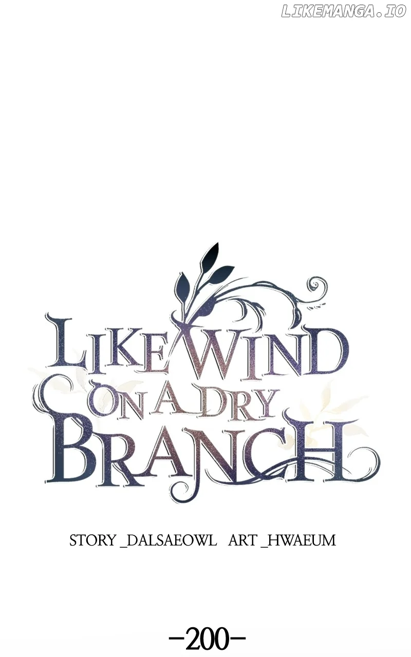 Like A Wind On A Dry Branch chapter 200 page 1