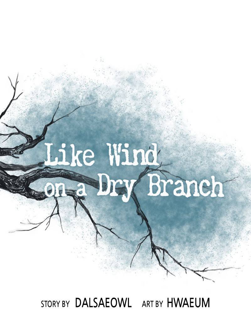 Like A Wind On A Dry Branch chapter 21 page 1