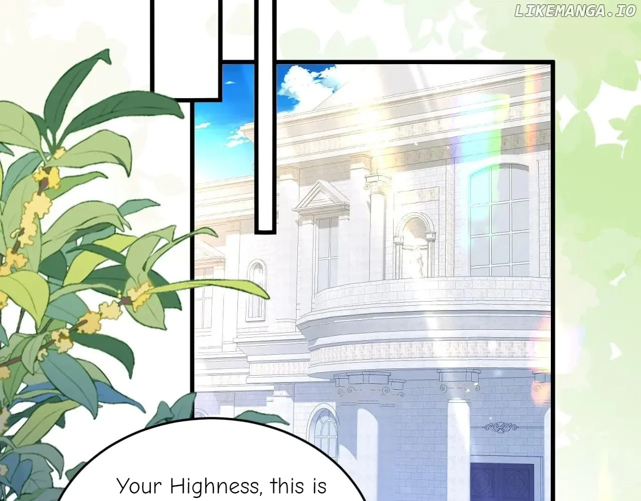 I Proposed to the Pope chapter 39 page 72