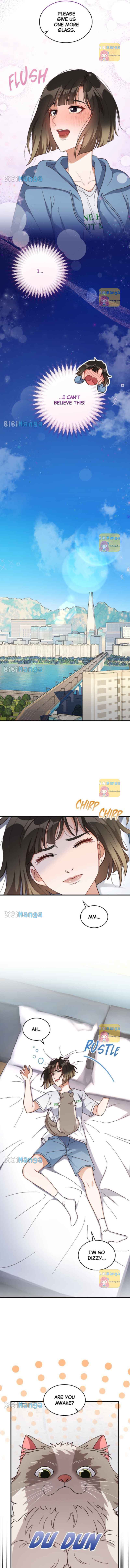 There Is No Perfect Married Couple chapter 73 page 8