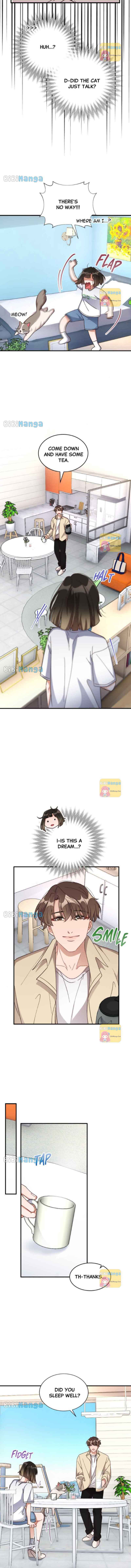 There Is No Perfect Married Couple chapter 73 page 9