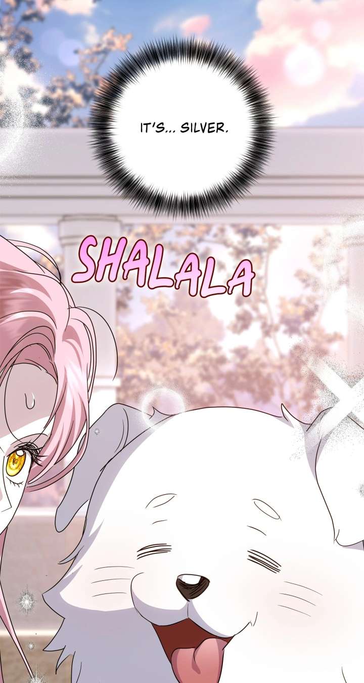 It Was Love at First Sight, Mr. Villain! chapter 71 page 4