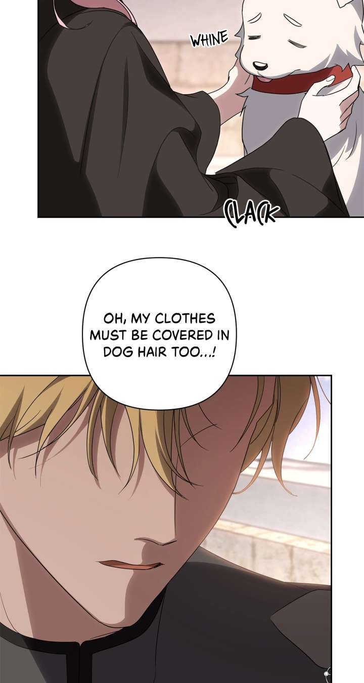 It Was Love at First Sight, Mr. Villain! chapter 71 page 11
