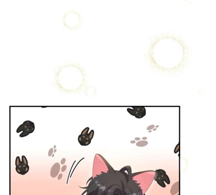 This Time I’ll Change My Husband chapter 36 page 85