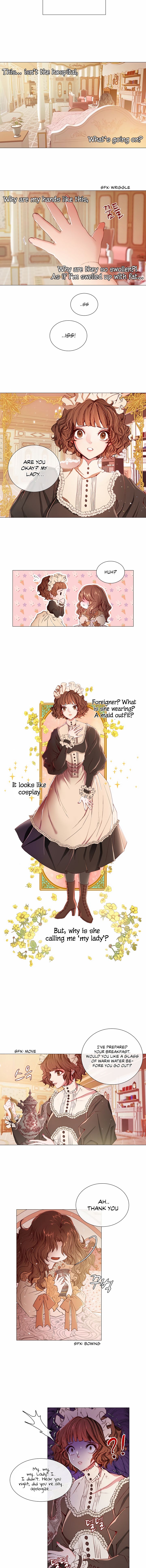 I Became The Ugly Lady chapter 1 page 2