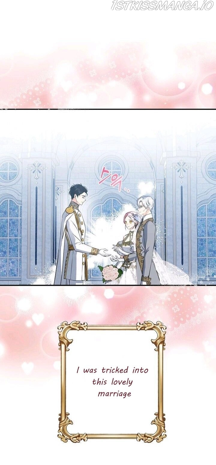 This Is An Obvious Fraudulent Marriage chapter 103 page 47
