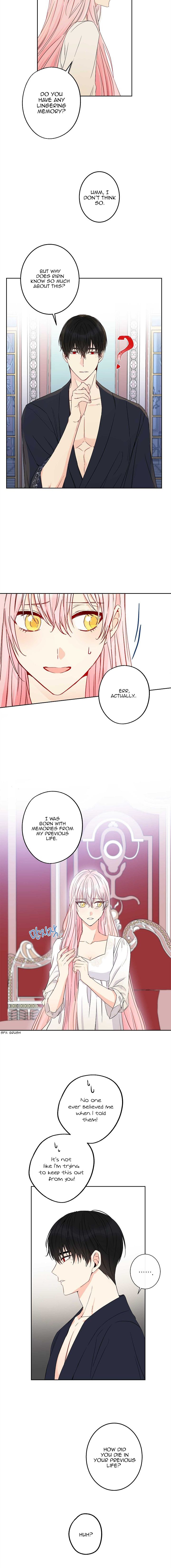 This Is An Obvious Fraudulent Marriage chapter 48 page 5