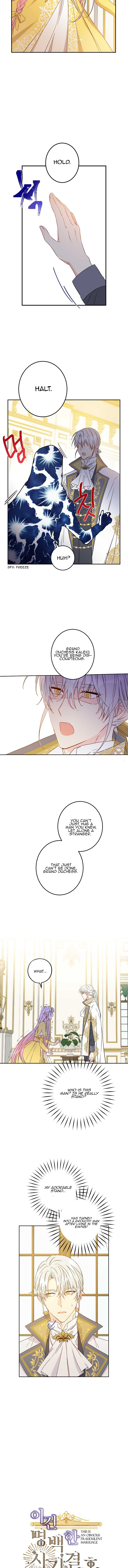 This Is An Obvious Fraudulent Marriage chapter 49 page 4