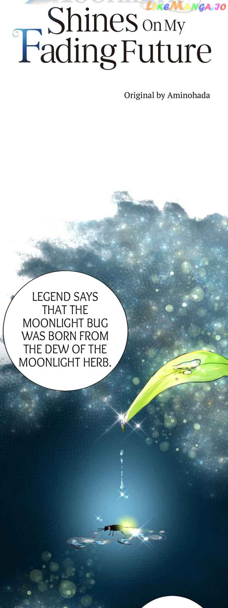 The Moonlight Shines On My Fading Future chapter 11 page 9