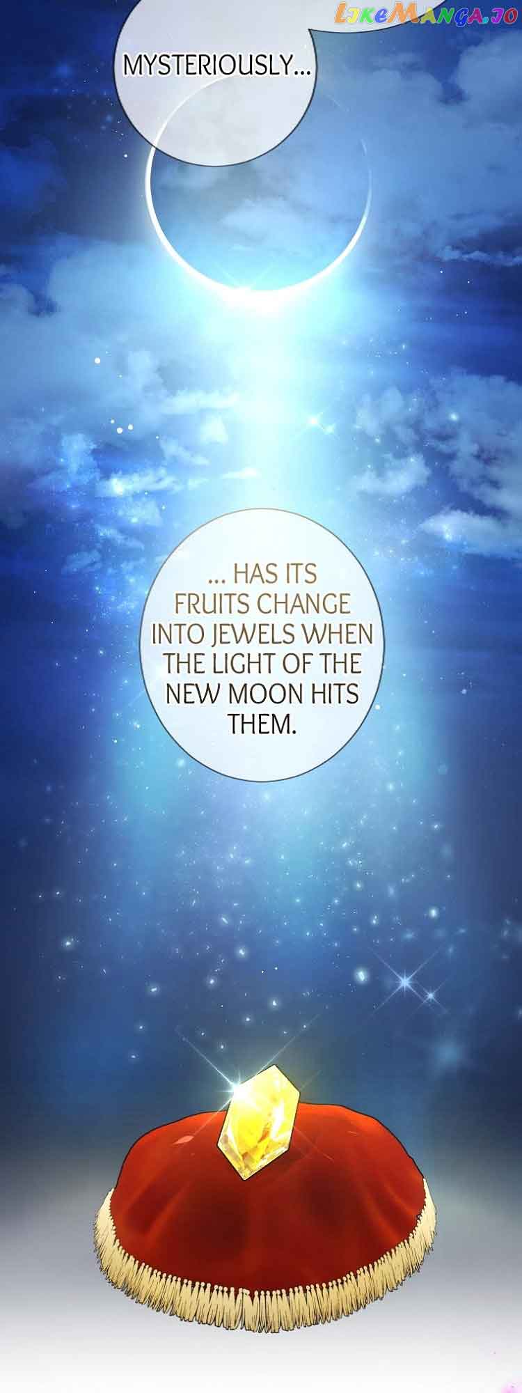 The Moonlight Shines On My Fading Future chapter 11 page 11