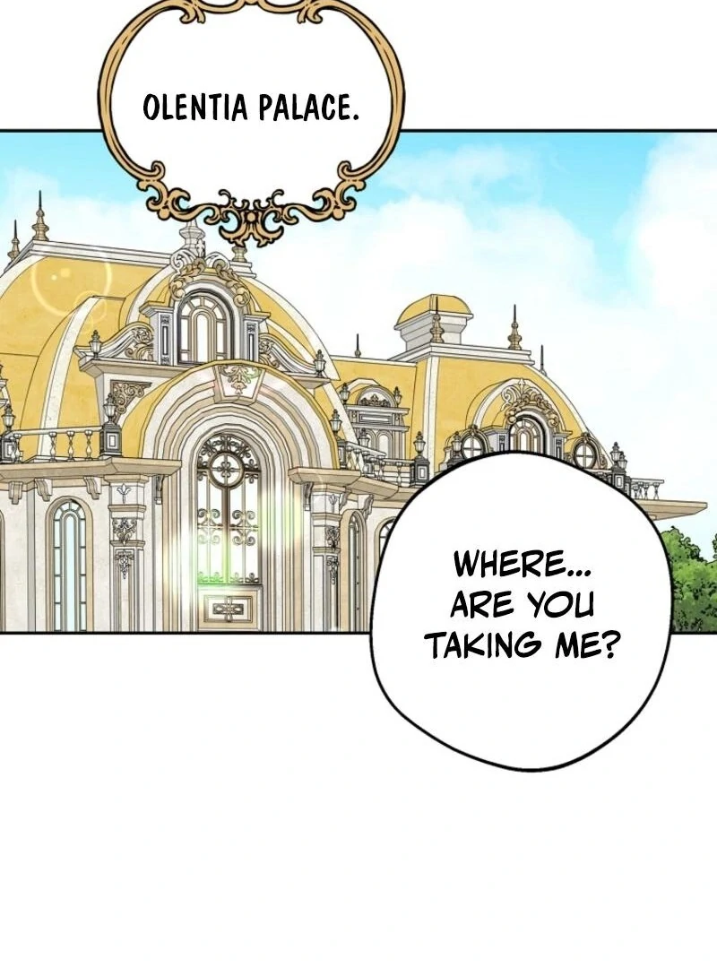 Surviving as an Illegitimate Princess chapter 120 page 64