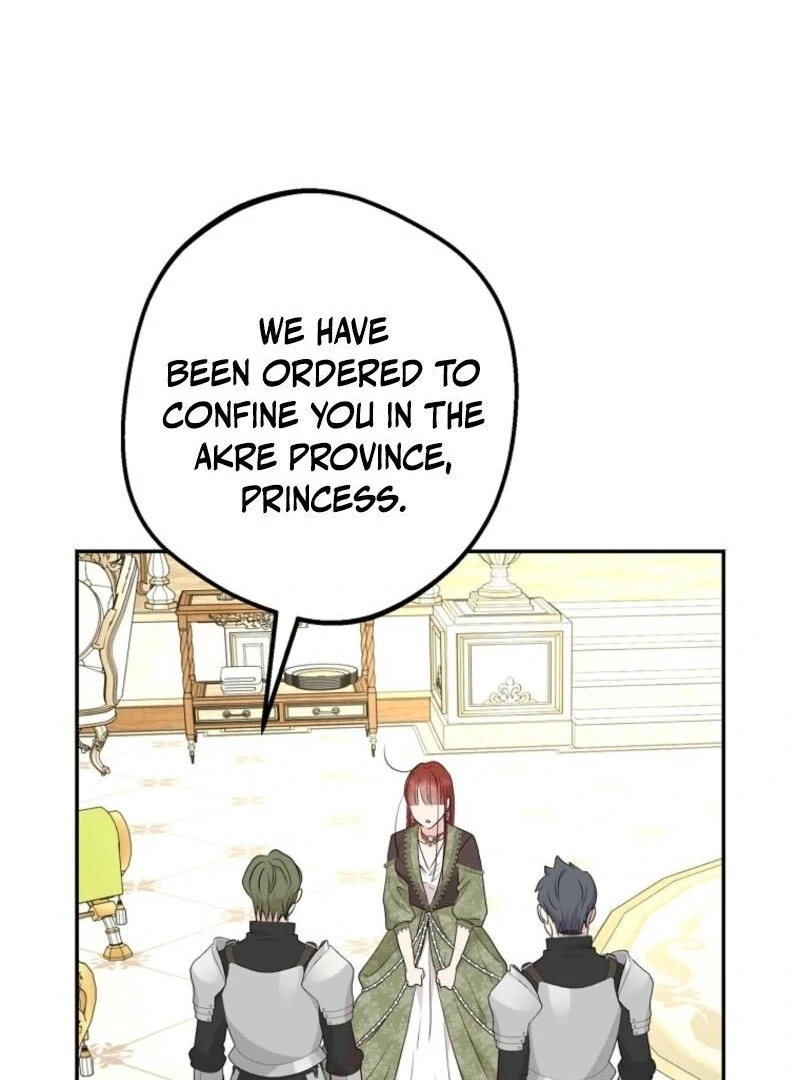 Surviving as an Illegitimate Princess chapter 120 page 65