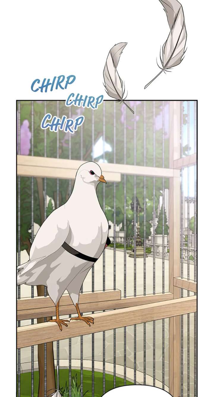 Divorce is the Condition chapter 70 page 77