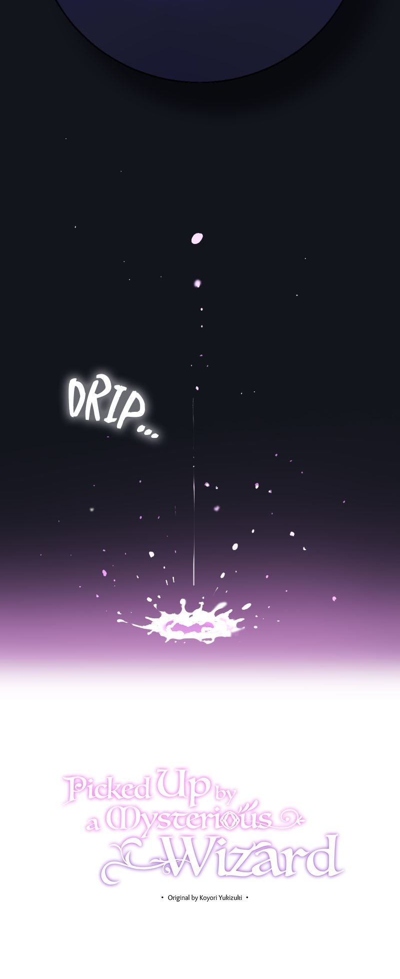 Picked Up by a Mysterious Wizard chapter 1 page 9