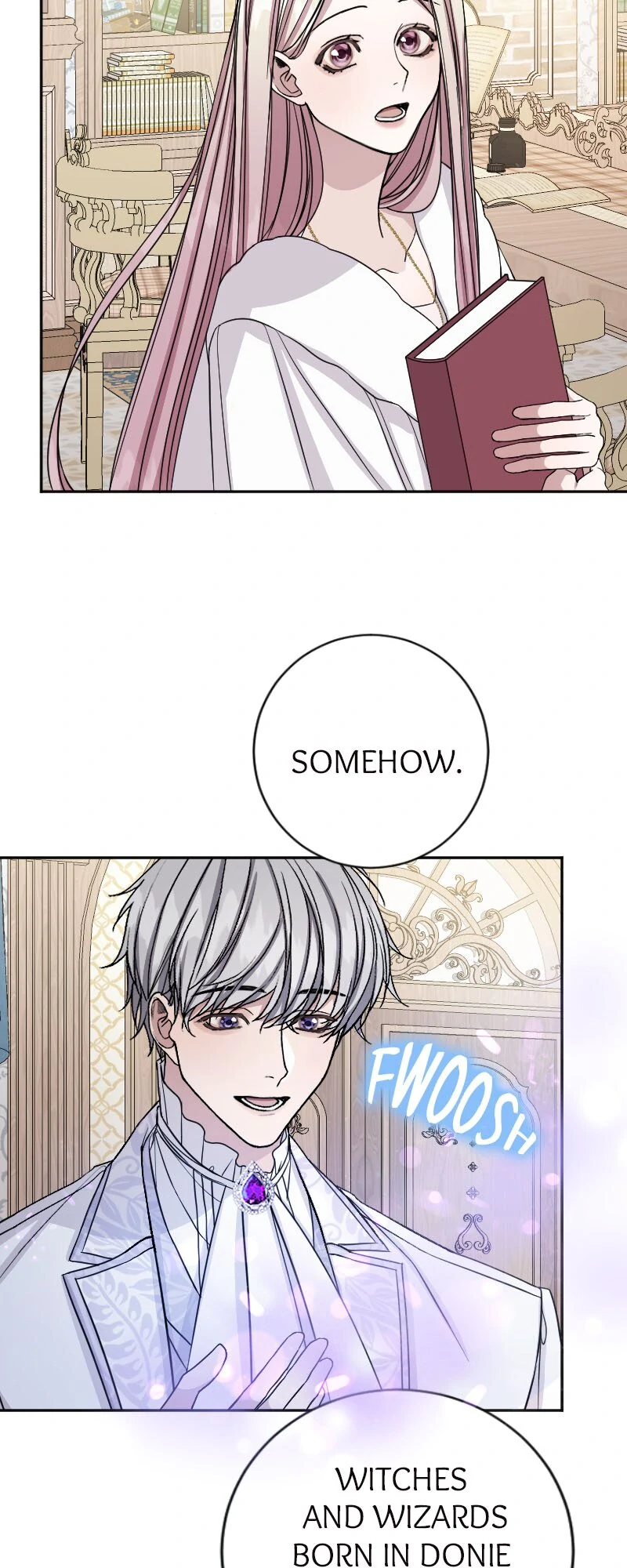 Picked Up by a Mysterious Wizard chapter 22 page 26