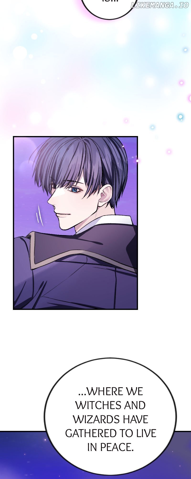 Picked Up by a Mysterious Wizard chapter 3 page 3