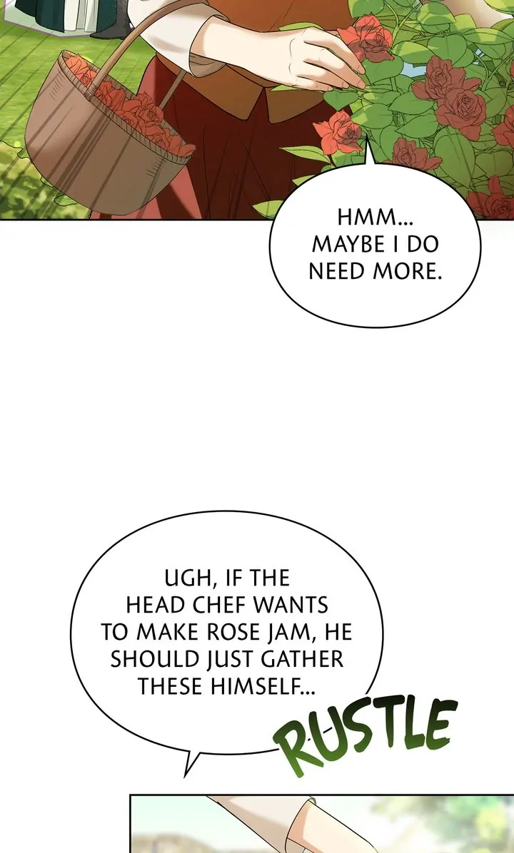 The Fairy Legacy chapter 12 page 62