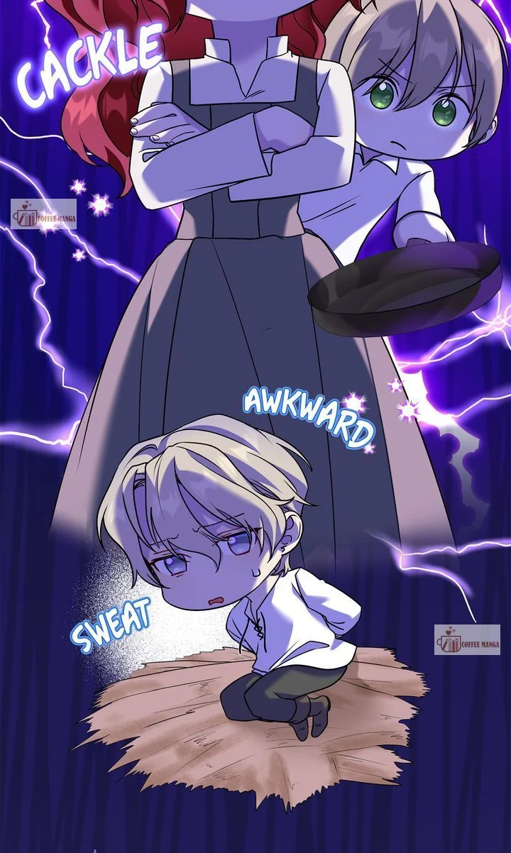 The Fairy Legacy chapter 27 page 91
