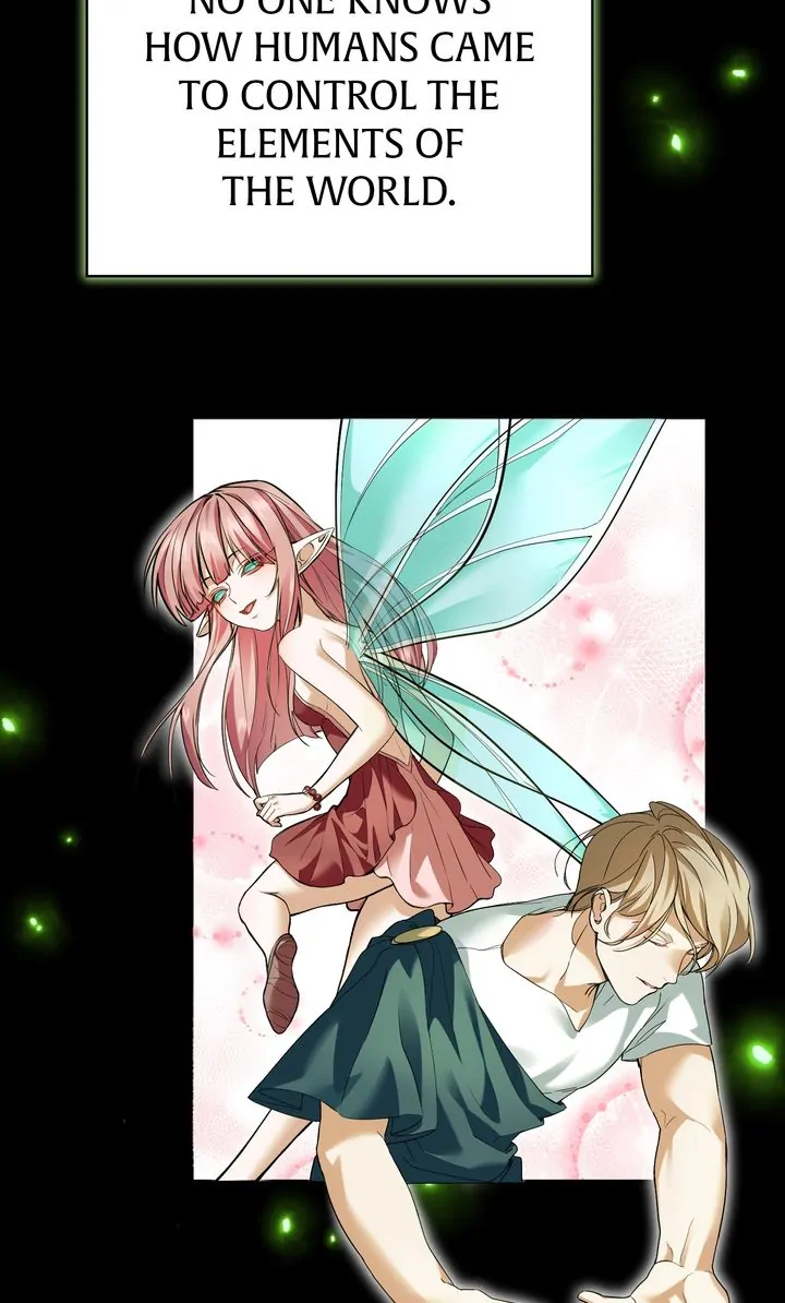The Fairy Legacy chapter 40 page 42
