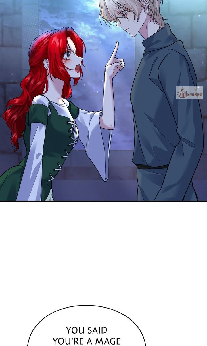The Fairy Legacy chapter 45 page 35