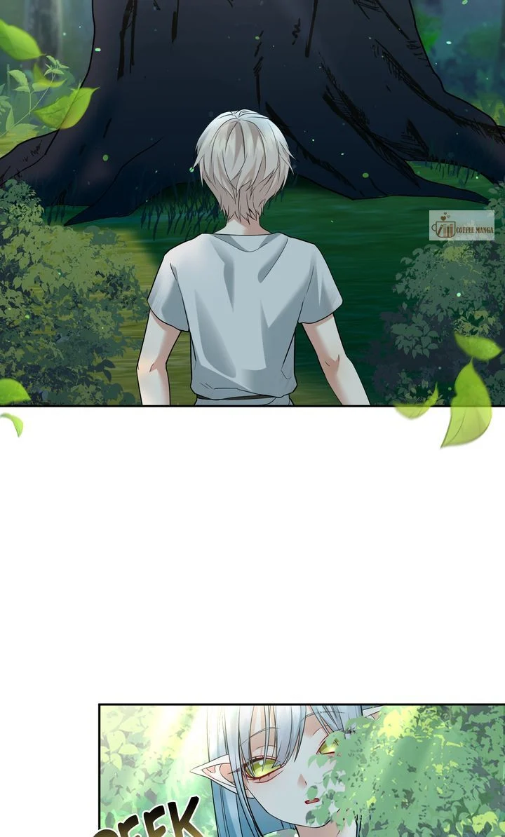The Fairy Legacy chapter 46 page 44