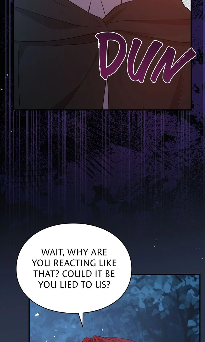 The Fairy Legacy chapter 63 page 29