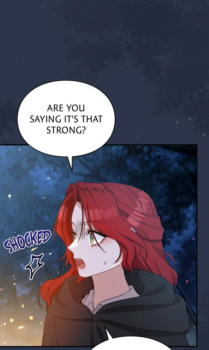 The Fairy Legacy chapter 63 page 46