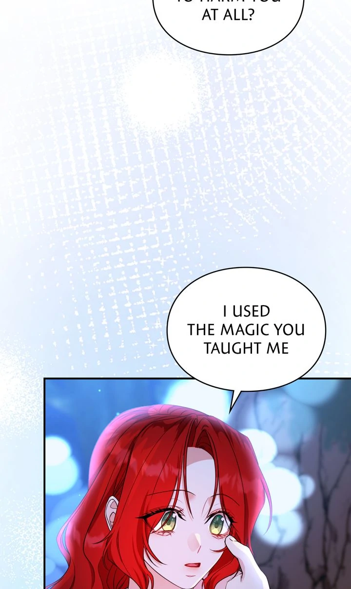 The Fairy Legacy chapter 68 page 39