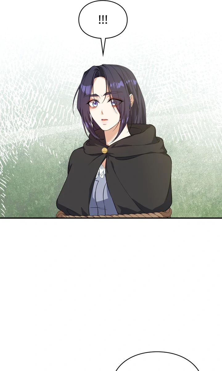 The Fairy Legacy chapter 72 page 25