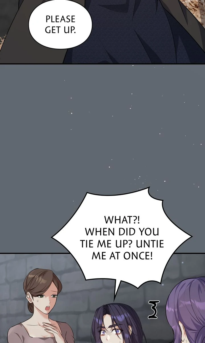 The Fairy Legacy chapter 72 page 3
